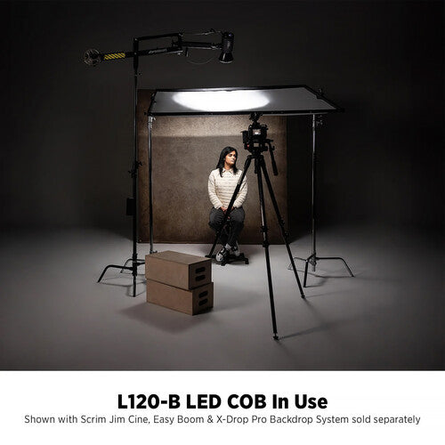 Westcott L120-B Bi-Color COB LED Monolight