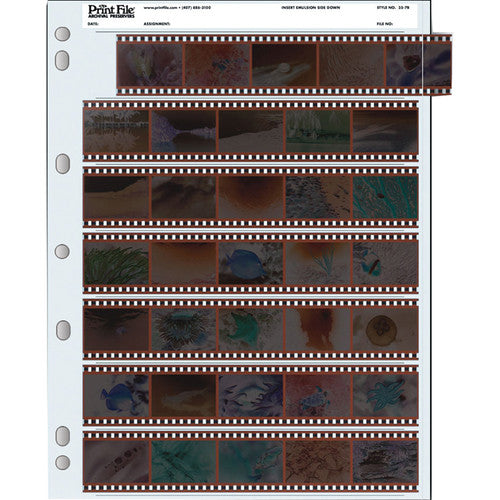 Print File Archival 35mm Negative Pages for Ring Binders (7 Strips/5 Frame, 100 Pages)